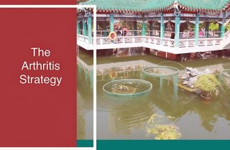 The Arthritis Strategy: A Comprehensive Review for Natural Pain Relief