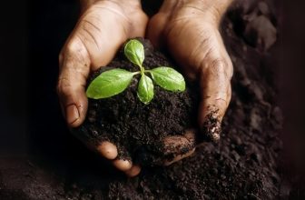 The benefits of Medicinal Garden Kit for natural health