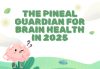 The Pineal Guardian for brain health in 2025
