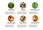 Harness the Power of Inner Body Temperature with Alpilean for Sustainable Weight Management