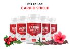 Cardio Shield Review | A Comprehensive Look into Advanced Blood Pressure Support