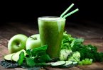 Detailed Review of The Smoothie Diet for Beginners