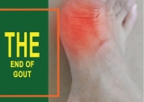 The Ultimate Guide to Holistic Gout Management: End of Gout by Blue Heron Health News