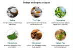 Gluco6 Reviews: An In-Depth Analysis of Ingredients, Benefits, and Customer Feedback