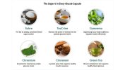 Gluco6 for Overall Wellness: How Does It Work?
