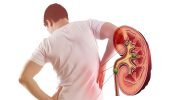 How Does The Kidney Disease Solution Help with Renal Health?