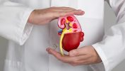 How Does The Kidney Disease Solution Help with Renal Health?
