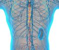 How Does Neuropathy No More Provide Neuropathy Relief?