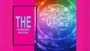 How does The Parkinson’s Disease Protocol support patients?