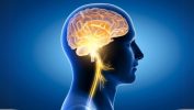 How does The Parkinson’s Disease Protocol support patients?