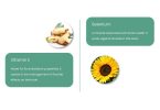 NeuroZoom:The Comprehensive Guide to Boosting Memory, Focus, and Mental Vitality