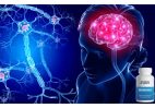 NEURODRINE Review: Enhancing Cognitive Function with Nature-Driven Nootropics
