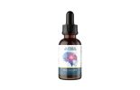 The Pineal Gland and Modern Health Challenges