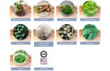 The Pineal Gland and Modern Health Challenges