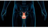 “The Prostate Protocol: A Comprehensive Guide to Prostate Health and Natural Solutions”