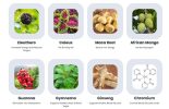 Sugar Defender: The Comprehensive Guide to Balanced Blood Sugar