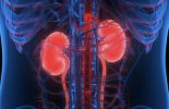 The Kidney Disease Solution Program Review: A Comprehensive Analysis