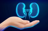 The Kidney Disease Solution Program Review: A Comprehensive Analysis