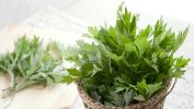 The benefits of Medicinal Garden Kit for natural health