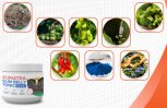 The Best Time to Take Sumatra Slim Belly Tonic for Maximum Weight Loss Results