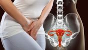 The effects of The Prostate Protocol on BPH