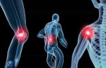Top products for better joint health with Joint Restore Gummies