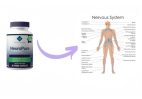 NeuroPure: The Complete Solution for Neurological Health
